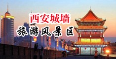913P搞鸡视频网站!中国陕西-西安城墙旅游风景区