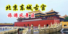 羞羞答答软中国北京-东城古宫旅游风景区